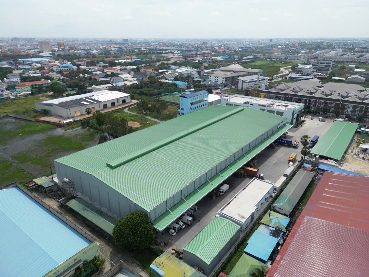 GOOHILL THUC TE (10)